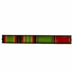 DDR NVA GT 4er Interimsspange Treue Dienste Verdienstmedaille Grenztruppen