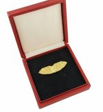 DDR Reichsbahn Ehrenspange Medaille treue Dienste bei der Deutschen Reichsbahn