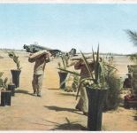 Postkarte WW2 Junkers Ju 52 nachschub material nach Afrika
