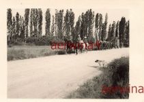 Marsch deutsche Soldaten von Naoussa nach Kavala Griechenland