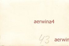 Kradschützen am PKW Opel Admiral Gruppenfoto