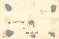 Blick von der Weichsel auf Bromberg Westpreussen Polen