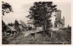 AK Hornisgrinde Aussichtsturm Baden-Württemberg Schwarzwald ungelaufen Postkarte