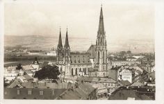 Totalansicht mit Dom Olmütz Tschechien Postkarte AK 1940