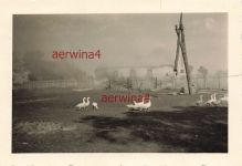 Rauchwolken mit Gänsen Dorf Grabowiec Polen