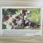 Weltberühmte Geschichten in Bildern Wolfsblut Jack London DDR 1958