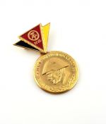 DDR Reservistenabzeichen der Nationalen Volksarmee in Gold