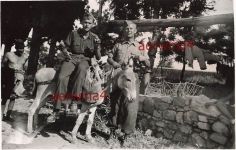 Deutsche Soldaten mit Maultier Esel bei Patras Griechenland