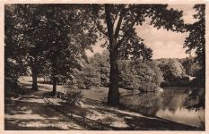 AK Plauen Adolf Hitler Park Sachsen Vogtland 1936 gelaufen Postkarte