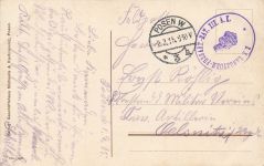 AK Posen Kaiser Wilhelm Bibliothek Posen 1915 gelaufen Postkarte