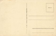 AK Heiligenhafen Ansicht Boot Möwen Schleswig-Holstein ungelaufen Postkarte