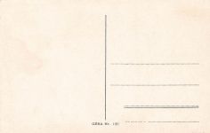 AK Leitmeritz Elbeansicht Dampfschiff Pirna Böhmen ungelaufen Postkarte
