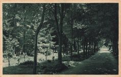 AK Müglitz Mohelnice Stadtpark Mähren gelaufen Postkarte