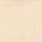 AK Bremen Lloyd Salondampfer Prinzeß Irene ungelaufen Postkarte