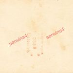 Deutscher Soldat am abgeschlossenem Flugzeug am Haus bei Smolensk Russland Ostf.