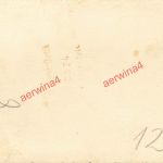 Vormarsch russische Raupe Stalinnetz bei Orel Russland Ostfront