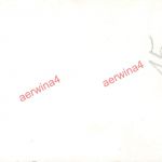 Deutsche Soldaten an russischem Flak M1939 bei Gorki Belarus Ostfront