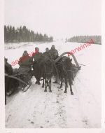 Deutsche Soldaten mit Panjeschlitten mit Russen bei Gorki Belarus Ostfront