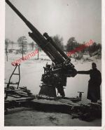 Russisches Flak 85mm M1939 deutscher Soldat bei Gorki Belarus Ostfront