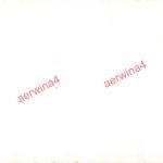 Deutsche Soldaten an russischem Flak M1939 bei Gorki Belarus Ostfront