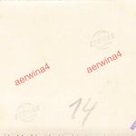 notgelandetes englisches FLugzeug Fairey Battle bei Ostende Fland Belgien