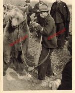 Tanzbär an der Kette bei Vorführung in Bulgarien