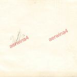 Tanzbär an der Kette bei Vorführung in Bulgarien