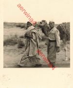 Araber mit Kamel in der Wüste bei Tripolis Libyen Afrika