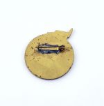 DDR Abzeichen Waffenbrüderschaft vereint 30 Jahre Warschauer Vertrag goldfarben