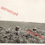 Deutsche Soldaten im Schützengraben bei Brügge Flandern Belgien