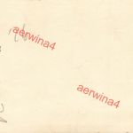 Belgische Feuerwehr steht im Wasser Flandern Belgien