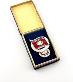 Auszeichnung DDR Medaille Pionierorganisation JP Silber mit Miniatur im Etui