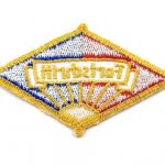 DDR Aufnäher Fortschritt