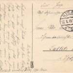 AK 1. WK Riesa a. Elbe Spruchkarte Flagge Sachsen 1915 gelaufen Feldpostkarte