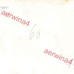 Deutsche Soldaten AR. 24 Gruppenfoto nach Übung bei Brüx Sudetenland