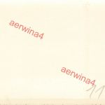 Deutscher LKW Garagenhof in Saint-Aubin-d'Aubigne Frankreich