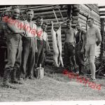 nackte Soldaten beim Schwein schlachten bei Polozk Weißrussland Ostfront