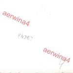 nackte Soldaten beim Schwein schlachten bei Polozk Weißrussland Ostfront