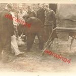 Deutsche Soldaten mit Schwein vor LKW für das Schlachtfest