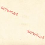 Deutscher Soldat auf Truppentransporter im Hafen von Antwerpen Belgien