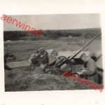 3,7 cm Flak im Erdloch Flugzeugabwehr bei Mga Leningrad Front Ostfront