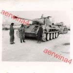 Deutscher Panzer V Panther im Wintertarnanstrich bei Mga Leningrad Front Ostf.