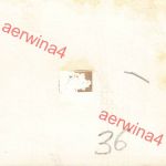 Deutscher Panzer V Panther im Wintertarnanstrich bei Mga Leningrad Front Ostf.