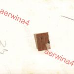 Winterstellung Dr. Mischke 1943 bei Mga Leningrad Front Ostfront