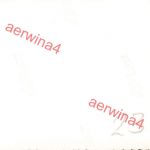 Deutscher Offizier an belgischer Grenze bei Prüm Eifel Westwall