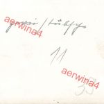 Bulgarische Dorfschönheiten auf Maultier in Tschepelare Bulgarien