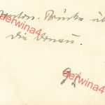 Deutscher PKW mit LKW Ponton Brücke Donau nach Bulgarien