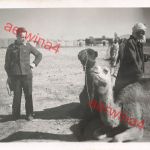 Deutscher Pilot mit Kamel am Fort Benina Flugplatz Bengasi Libyen