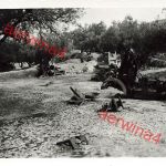 Zerstörte englische Panzer bei Bengasi Libyen Afrika