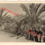 Deutsche Soldaten unter Palmen in Rodos Griechenland